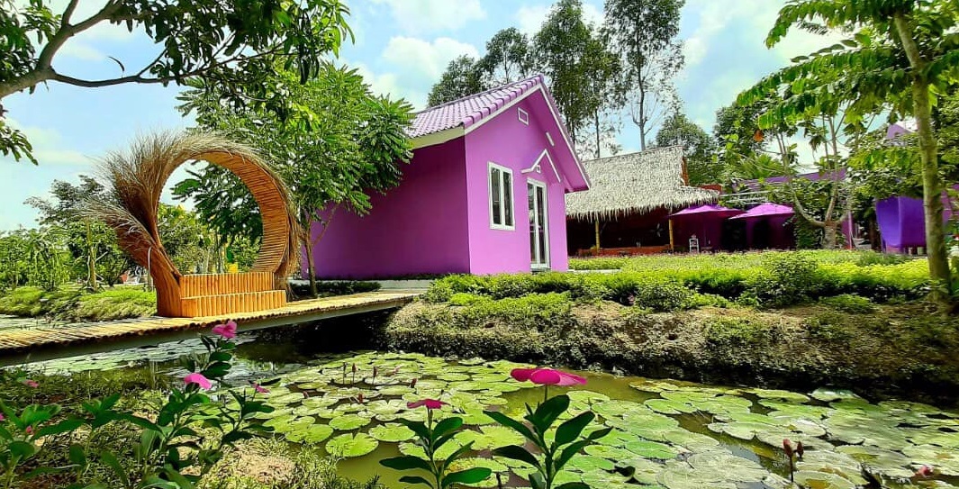 Hà Nội – Cần Thơ – Cà Mau – Bạc Liêu – Rừng Chàm Trà Sư – Miếu Bà Chúa Sứ – Căn nhà Màu Tím
